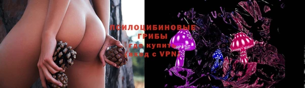 кокаин Новозыбков