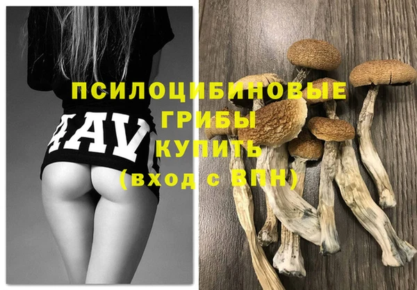 каннабис Новокубанск