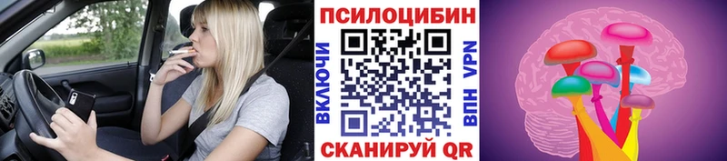 Галлюциногенные грибы Psilocybine cubensis  OMG tor  Истра 